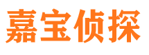 远安市调查公司